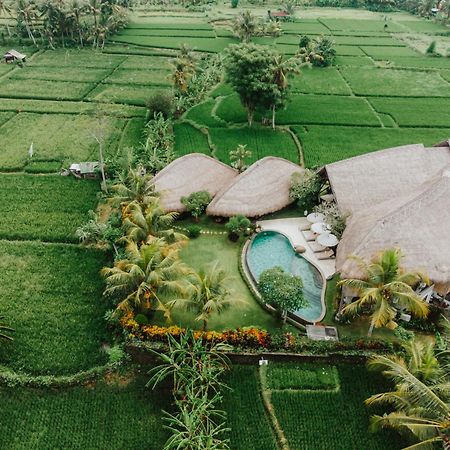 Villa Omah Padi Ubud Luaran gambar