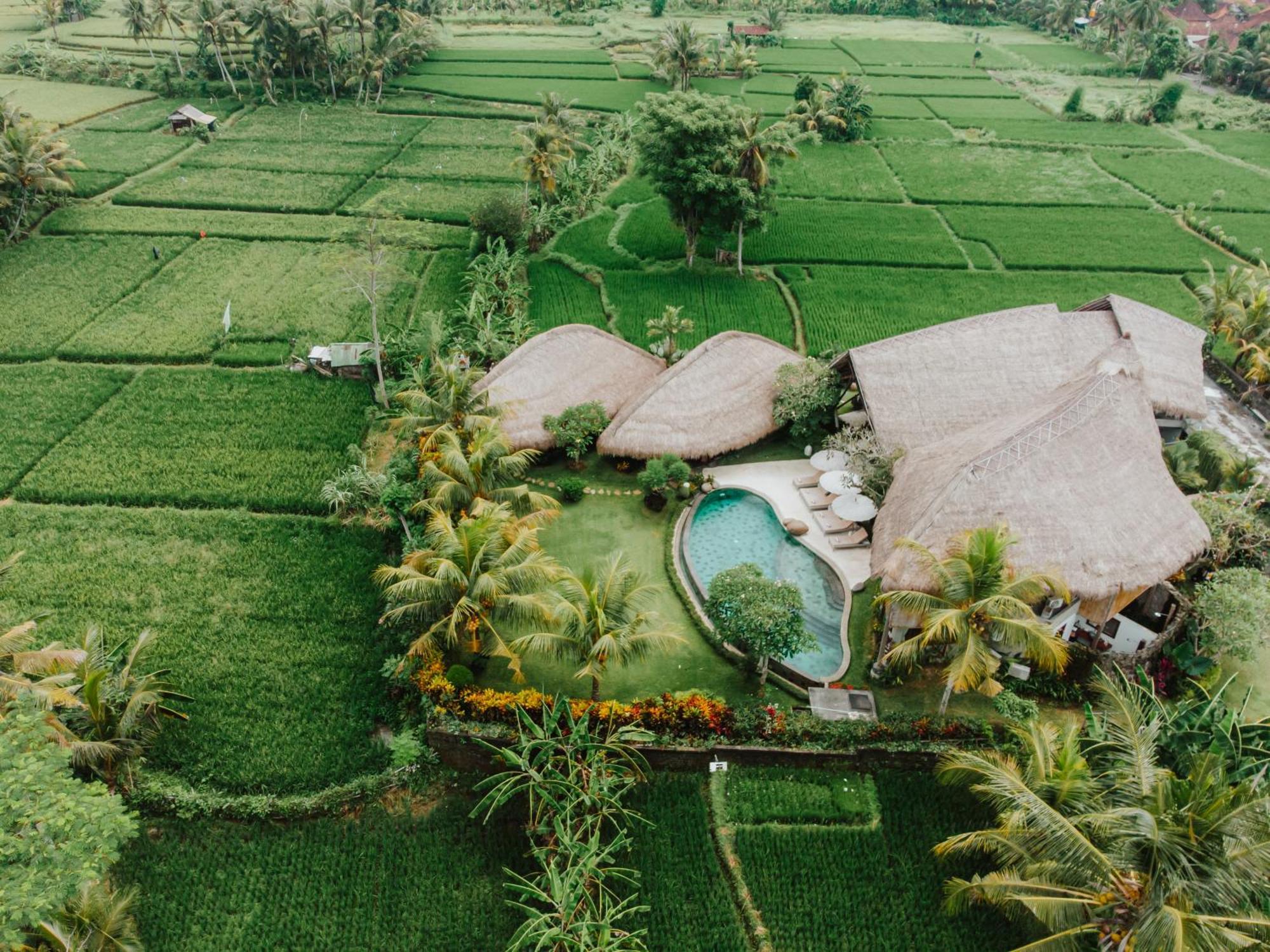 Villa Omah Padi Ubud Luaran gambar