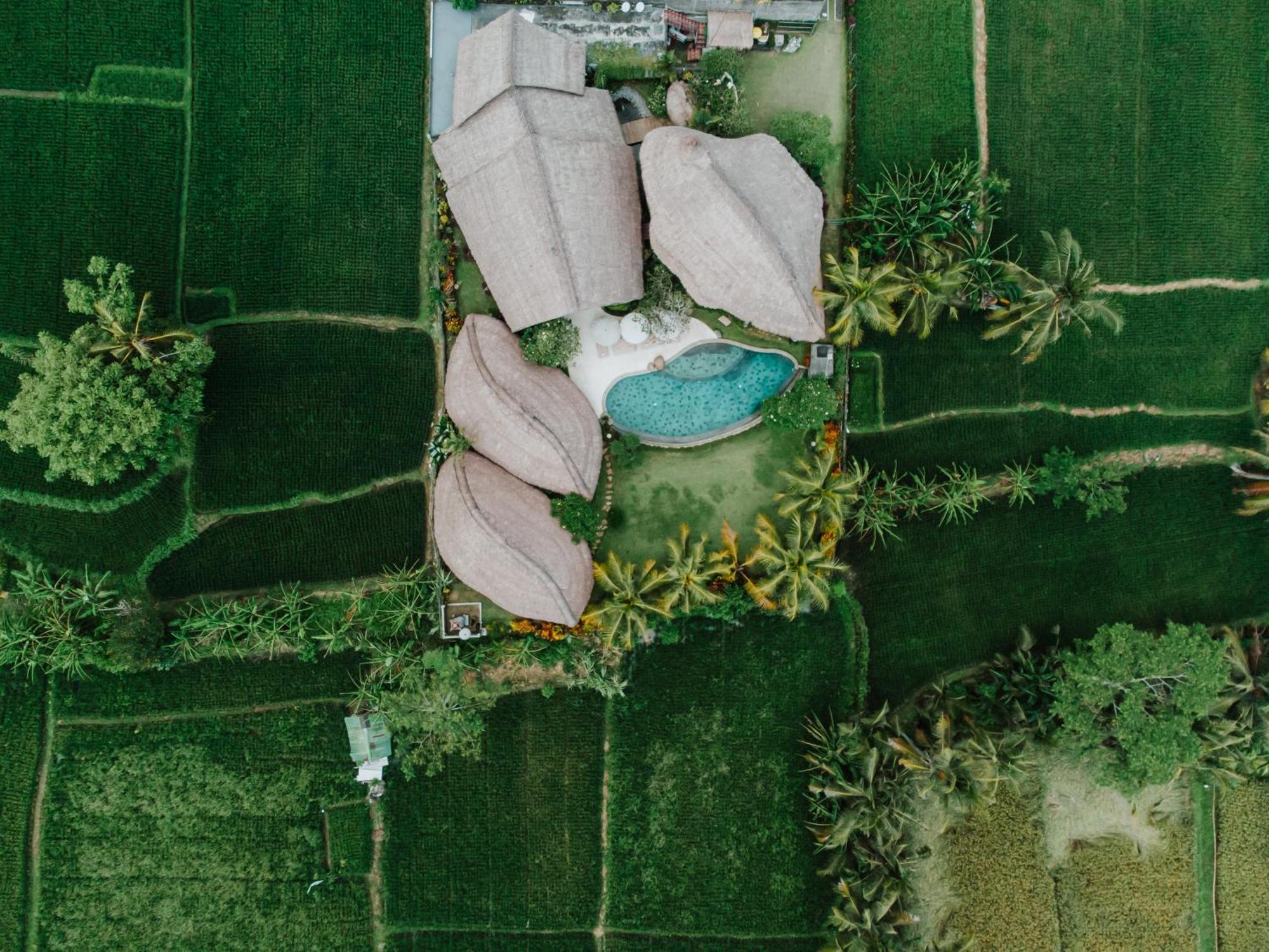 Villa Omah Padi Ubud Luaran gambar